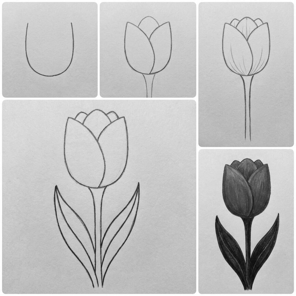 Coisas para Desenhar no Tédio: um lindo tulipa colorida