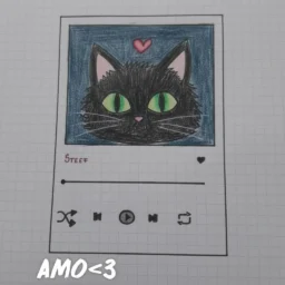 Dibujo fácil para dibujar de un gato negro.