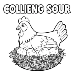 Coloriage Poulet dans un nid