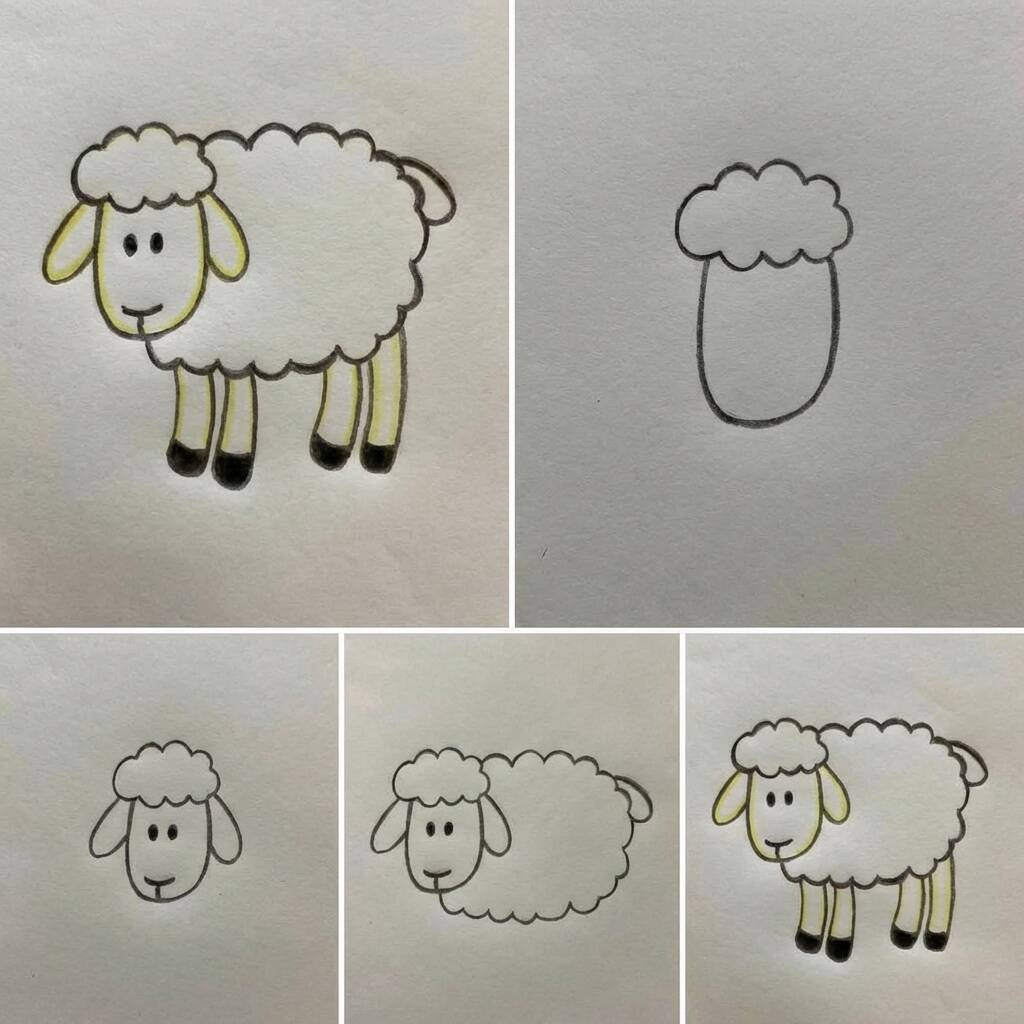 Instruções para desenhar uma ovelha em etapas
